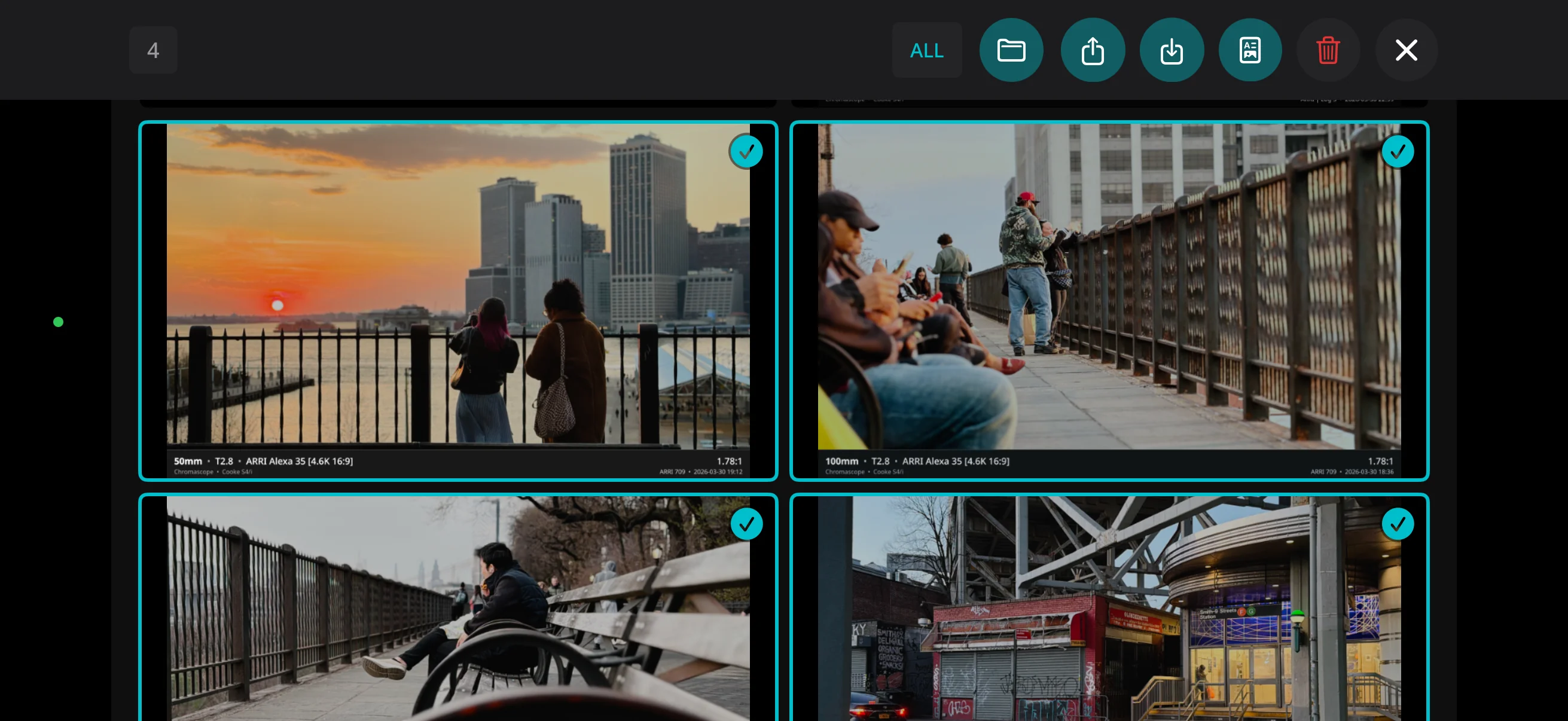 Chromascope gallery — multi-select view
