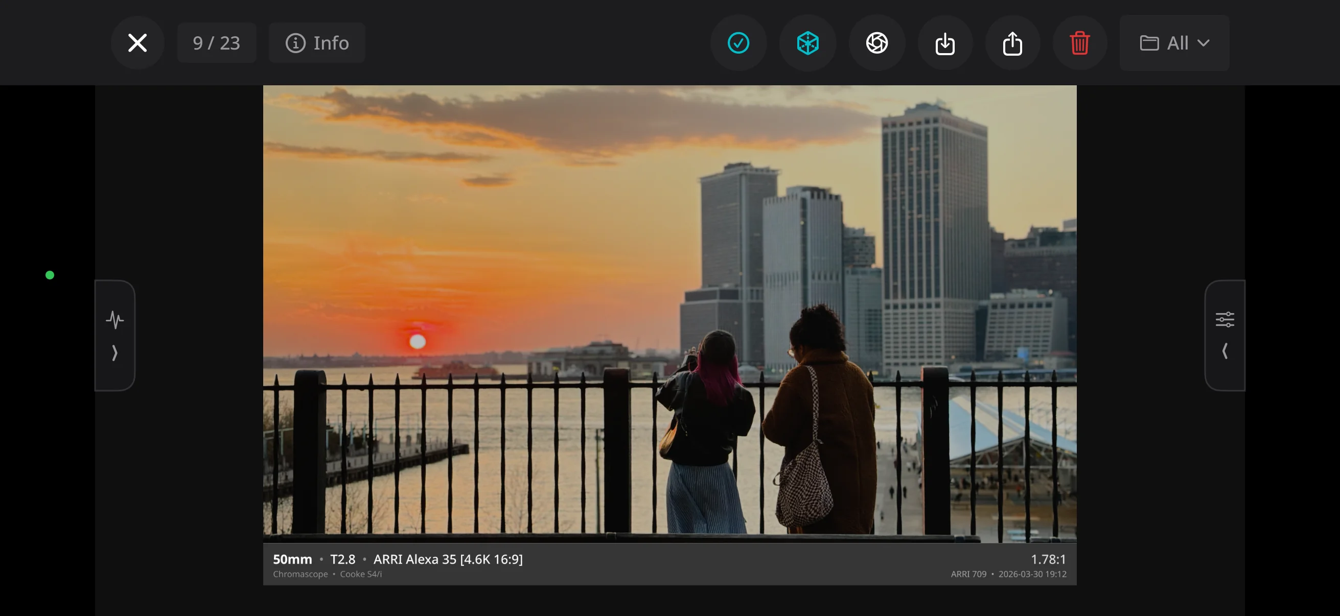 Chromascope gallery — single image view with metadata